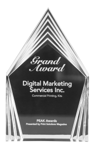 Digital Marketing Services Award